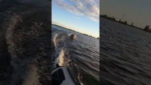 Лодочный мотор сиа про 9.8 покатушки на ватрушке