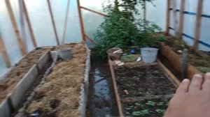 Высокие грядки в теплице   вода в проходах