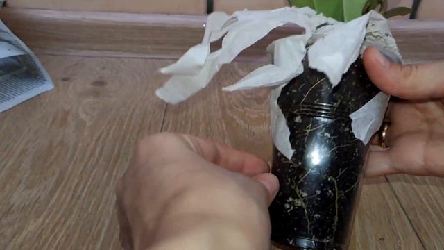 Распаковка посылки с хойей AH 074 Silver, сравнение с АН-74 клон