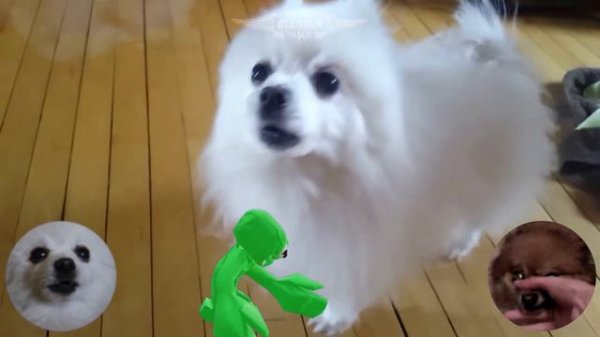 Garten of Banban OST - 'Pancreas' em cachorrês