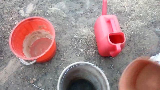 Перед походом на озеро за водой для животных! смотреть онлайн