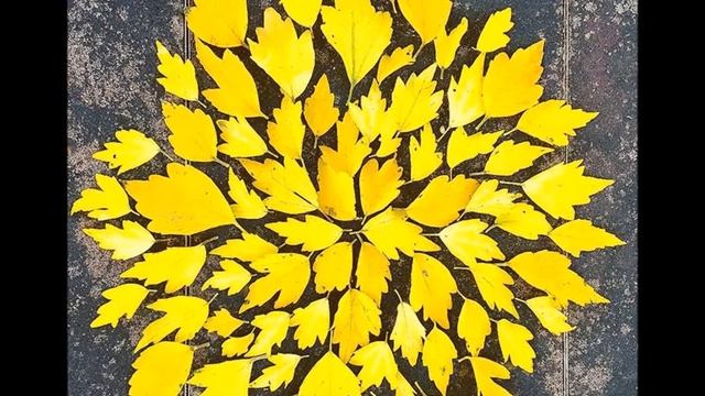 ЛИСТЬЯ ЖЕЛТЫЕ смотреть онлайн