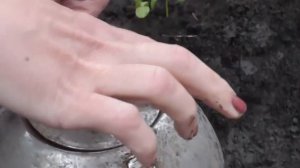 Как обогреть парник ЖИДКОЙ СВЕЧОЙ в холодные ночи. Как сделать жидкую свечу длительного горения