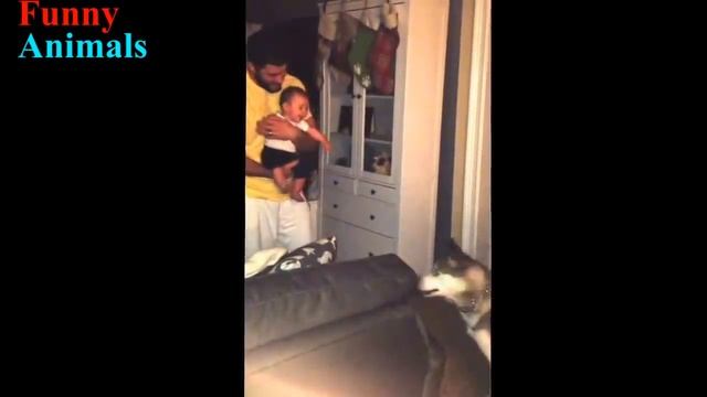 хаски и дети смотреть онлайн