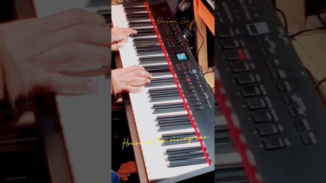 How to play House of the rising sun chords.Orchestral Choir, and then on Piano. смотреть онлайн