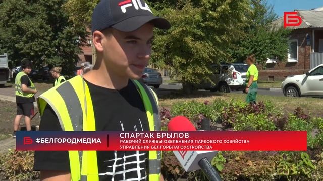 Озеленение на Народном бульваре в Белгороде смотреть онлайн