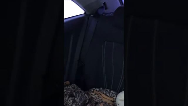 Стук задней стойки Opel Corsa D