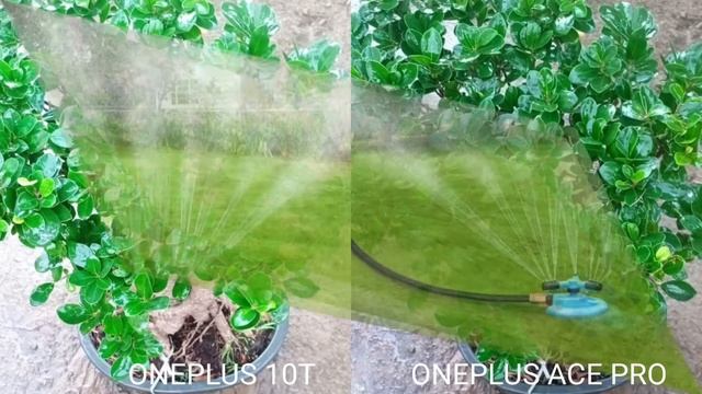 Oneplus 10T vs Oneplus Ace pro camera test смотреть онлайн