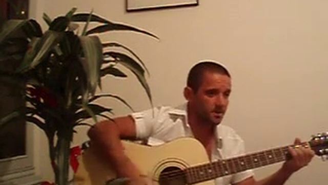 Белый лебедь на пруду смотреть онлайн