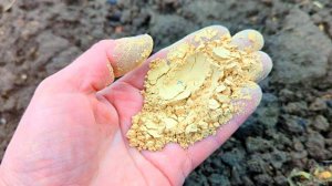 Этот заменяет тонну навоза! Осенью и весной раскидываю такой порошок по грядкам, завидую сама себе!