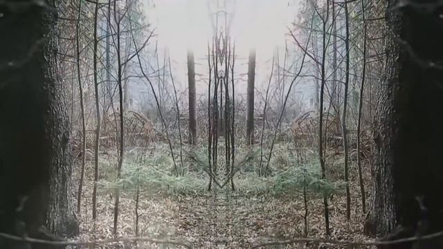 Lucidvox - Не ходи смотреть онлайн