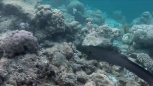 Остров Виламенду на Мальдивах. Самый лучший и дорогой резорт на Мальдивах! VILAMENDHOO ISLAND RESOR