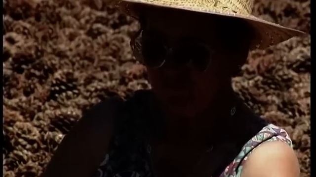 Los PIÑONES y su peligrosa obtención de los PINOS. Así era el duro oficio de las "ARDILLAS HUMANAS" смотреть онлайн