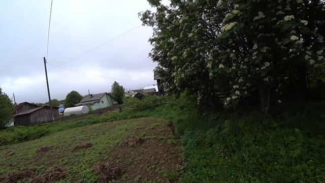 Наконец - то руки дошли до огорода. Раскидываю навоз. смотреть онлайн