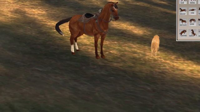 Animpet Animesh Horse Preview смотреть онлайн