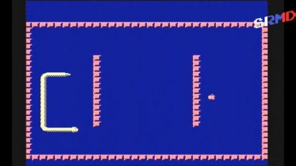 Nibbles (Homebrew) [NES] - Short Gameplay