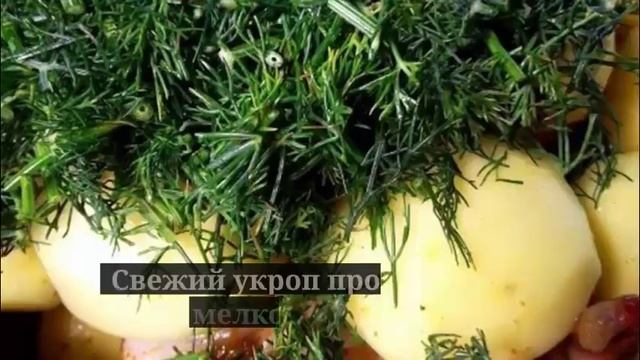 Мотивационные Речи