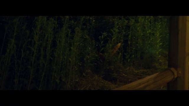 유선호(YOO SEONHO) - PIAHO #6 '별 보러 가자 / 적재'