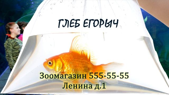 ?Бизнес идея Зоомагазин♒ смотреть онлайн