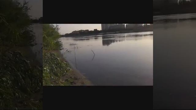 Рыбалка на острове в черте города. Часть 1-ая . Поиск места, первая рыба. смотреть онлайн