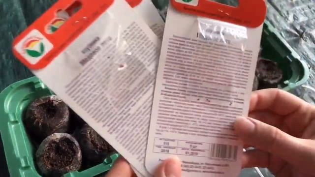 КАК САЖАТЬ КЛУБНИКУ СЕМЕНАМИ МАРТ 2019/ТОРФЯНЫЕ ТАБЛЕТКИ смотреть онлайн