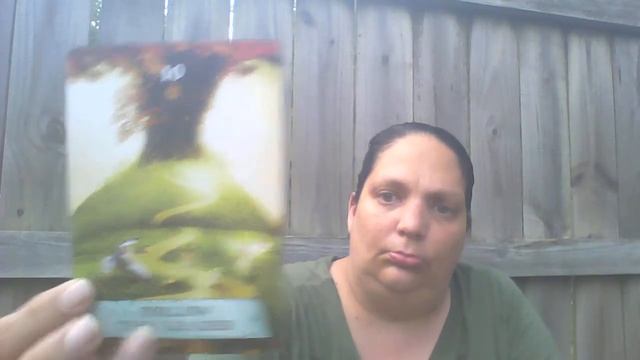 WALKTHROUGH OF THE ENCHANTED MAP ORACLE смотреть онлайн