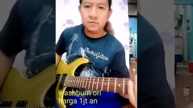 SOLD... gitar washburn смотреть онлайн