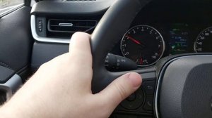 Как работает круиз-контроль на новом RAV4 2020. Рассказываю в пути