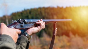 Распоясавшиеся браконьеры