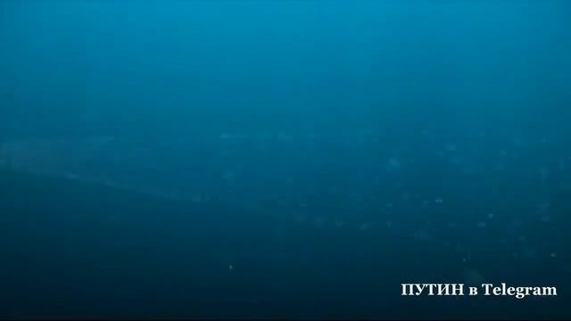 Кто хотел посмотреть как в действительности выглядит «Посейдон» смотреть онлайн