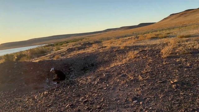 Алтынға аяқ асты тап болдым. Металіздегішпен қазына іздеу. Поиск металлоискателем золото. Коп 2023 смотреть онлайн