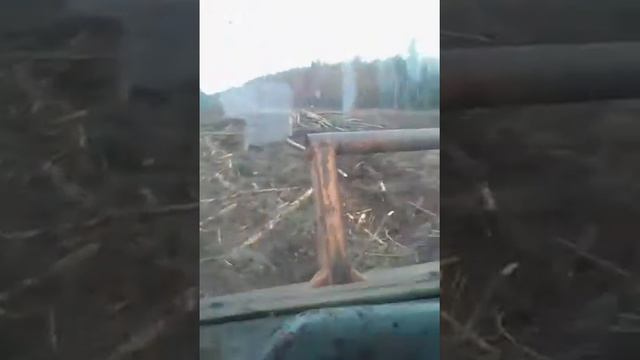 Томск смотреть онлайн