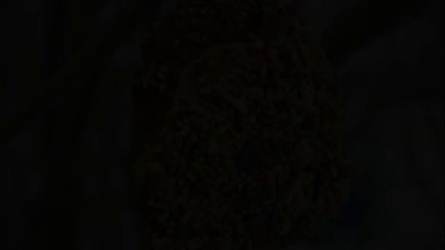 Самодельные Кормушки Для Птиц смотреть онлайн