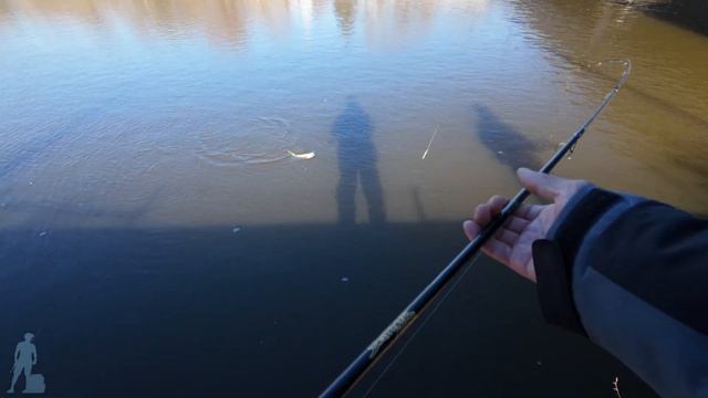 Helping Boaters + My Tips for Pump'n Flies смотреть онлайн