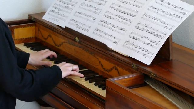 M. Heuberger plays Mozart's recently discovered Allegro Molto on a Ganer 1781 Square piano (sold) смотреть онлайн