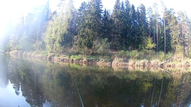 Михаил Бадисов. Рыбалка + (р. Барта,Лиепая, Латвия) смотреть онлайн