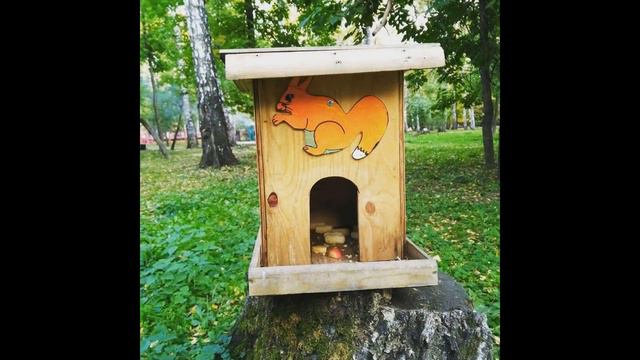 БЕРЁЗОВАЯ РОЩА НОВОСИБИРСК/ПРОГУЛКА, БЕЛКИ, ПРИРОДА смотреть онлайн