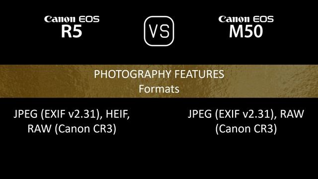 Canon EOS R5 vs. Canon EOS M50: A Comparison of Specifications смотреть онлайн