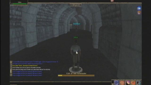 EverQuest II PC Games Gameplay - Spirit of the wolf смотреть онлайн