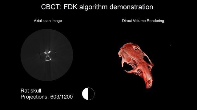 FDK algorithm demonstration (rat skull) смотреть онлайн