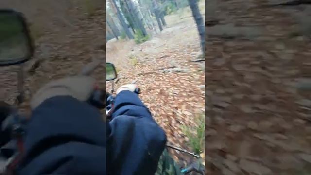 Деревенские покатушки по деревенски ? смотреть онлайн