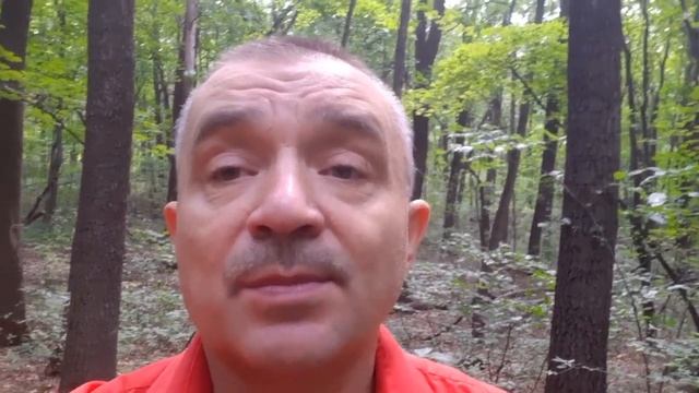 Как рассчитать коэффициент на сахар крови, примеры расчетов смотреть онлайн