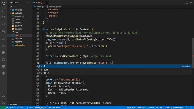 AWS Tạo web app bằng Golang, upload file, lưu vào S3 - P2 | Learn AWS The Hard Way | Techmaster смотреть онлайн