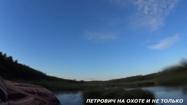 ОХОТА НА УТКУ С ПОДХОДА . 25 МИНУТ И НОРМУ ДОБЫЛ . ОХОТА В ПОДМОСКОВЬЕ. смотреть онлайн