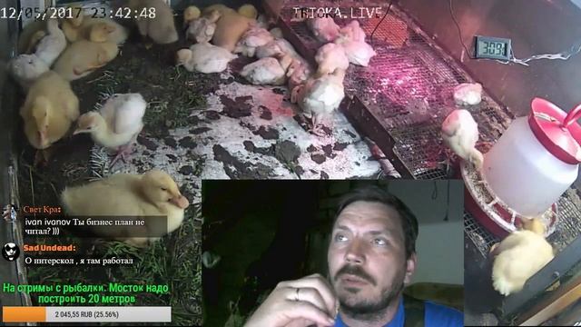 ?Стрим. На пол часика, Подождем компса. смотреть онлайн