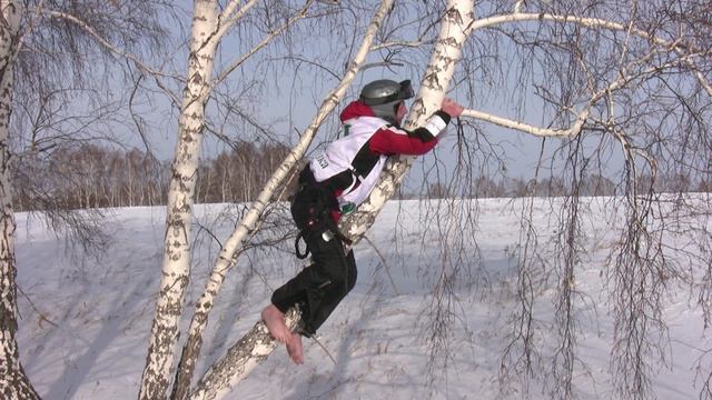 Тима и берёза смотреть онлайн