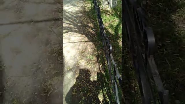 Город Чернушка Грязнушка Пермского края смотреть онлайн