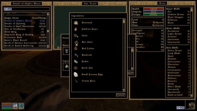 The Purge Of Vas - Let's Play Morrowind - 19 [Blind - Modded]