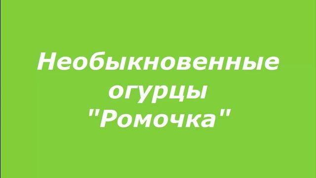 Огурцы на зиму. 8 самых лучших рецептов. смотреть онлайн