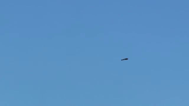 ОРЛЫ ЖИВУЩИЕ У ГОРЫ АБЛАКЕТКА. 3 смотреть онлайн